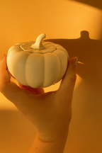 Podzimní dýně PUMPKIN GLOW